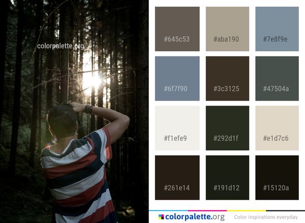 Tree Nature Woody Plant Color Palette