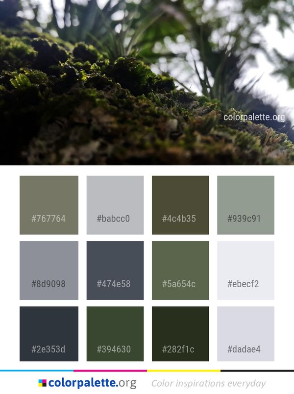 Vegetation Tree Leaf Color Palette