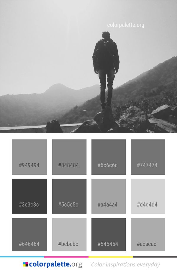 White Black Photograph Color Palette