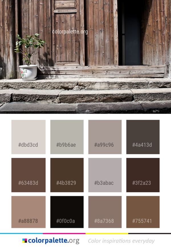 Window Wall Wood Color Palette