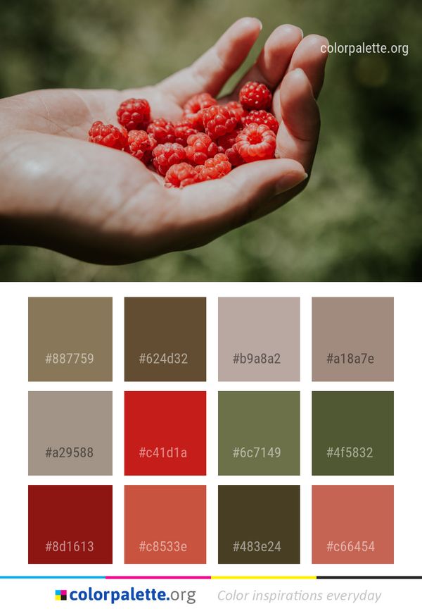 Berry Fruit Natural Foods Color Palette