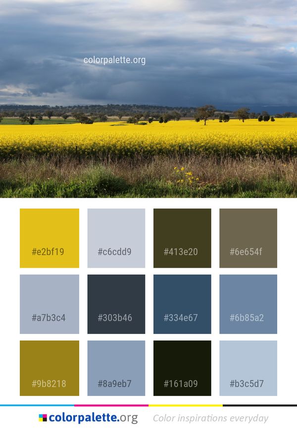 Field Yellow Grassland Color Palette