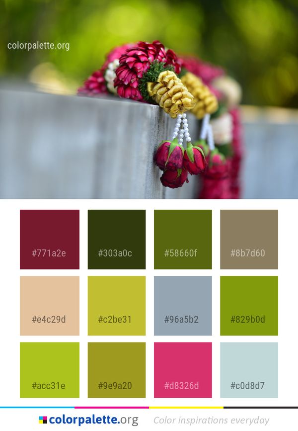 Flower Flora Petal Color Palette