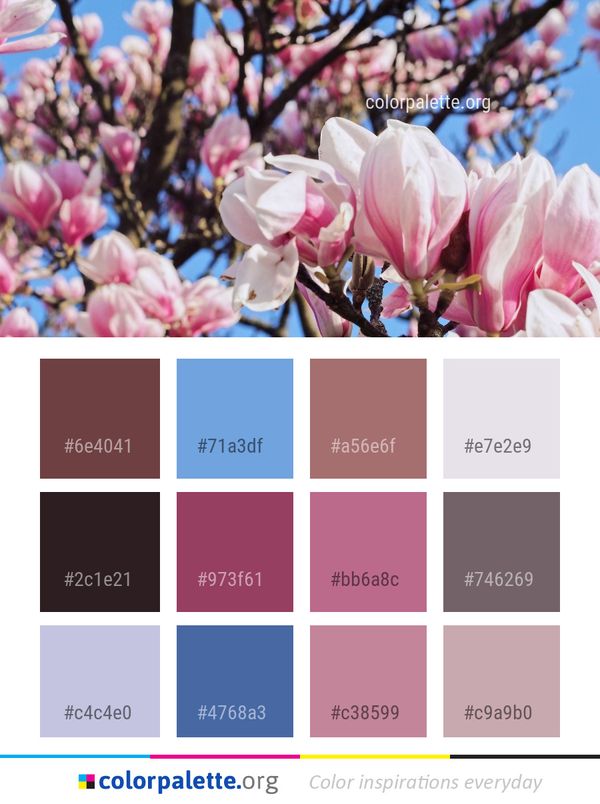 Flower Plant Flowering Color Palette