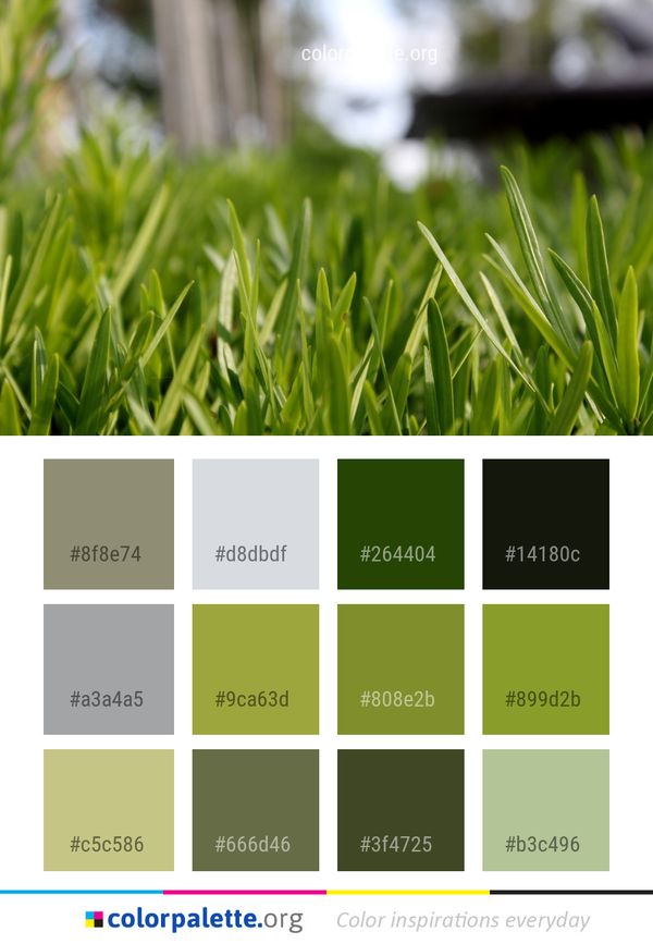 Grass Green Plant Color Palette