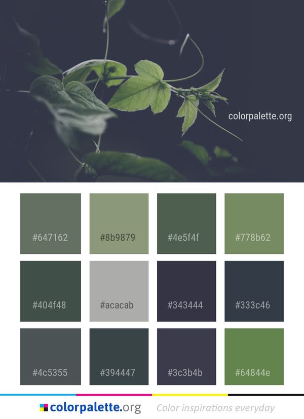 Leaf Green Flora Color Palette