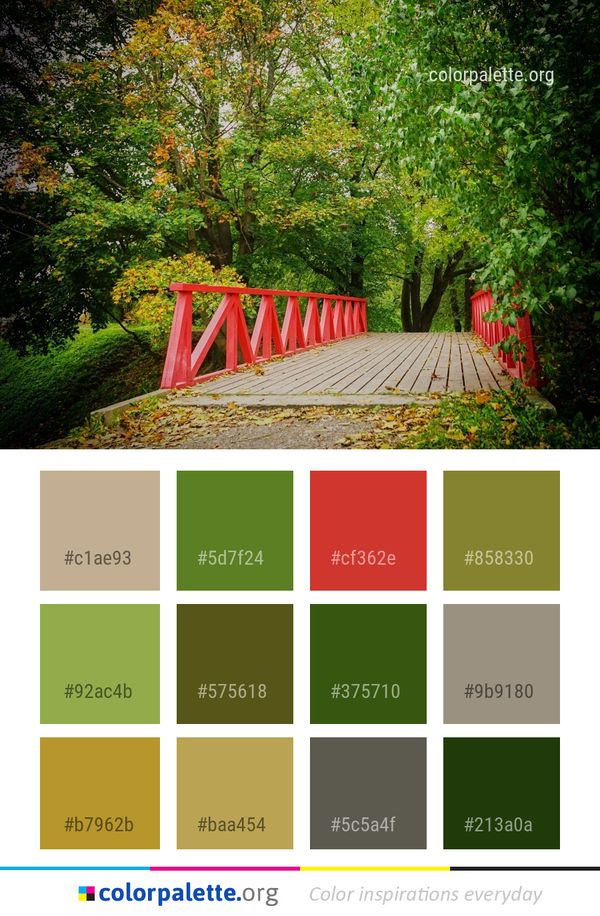 Nature Leaf Autumn Color Palette