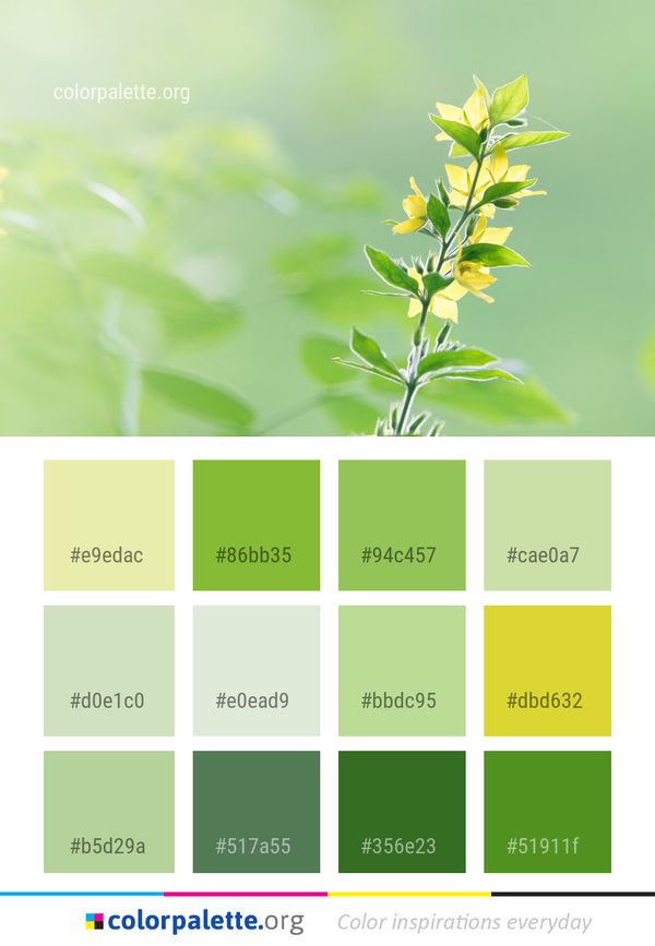Plant Leaf Flora Color Palette