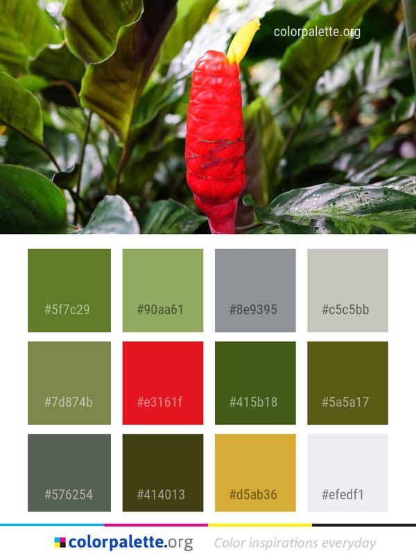 Plant Leaf Flora Color Palette