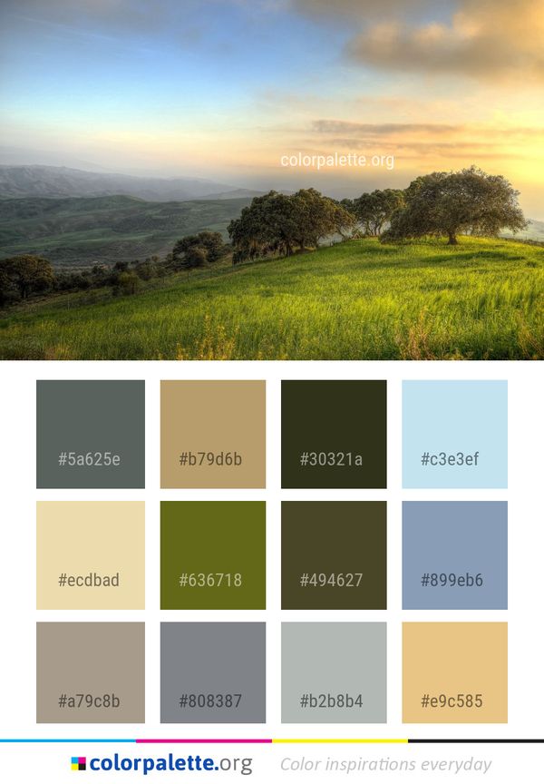 Sky Grassland Field Color Palette