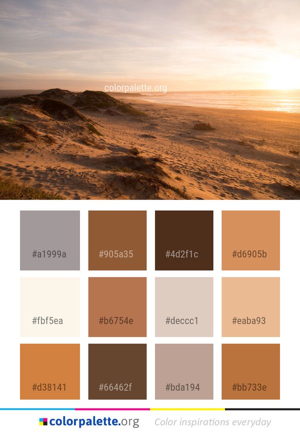 Sky Horizon Sea Color Palette