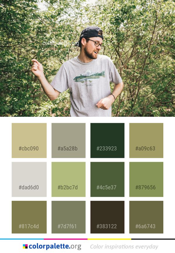 Tree Plant Woody Color Palette