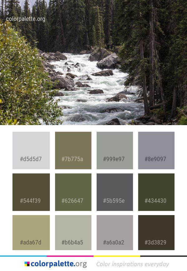 Water Stream Nature Reserve Color Palette