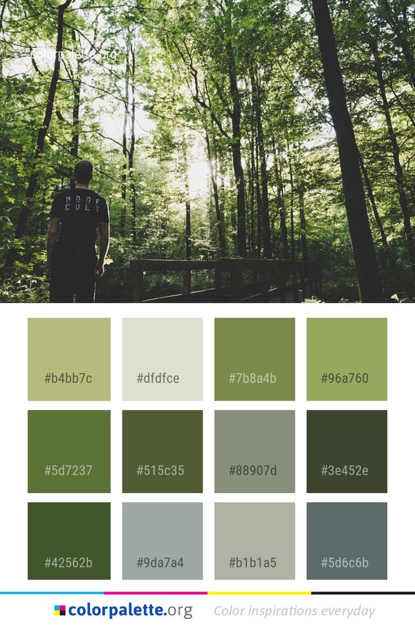 Nature Tree Green Color Palette