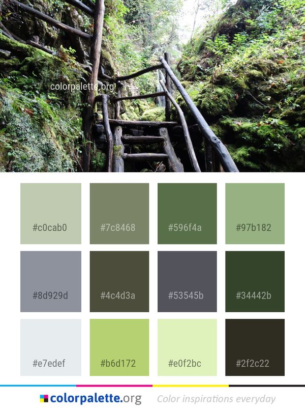 Nature Vegetation Reserve Color Palette