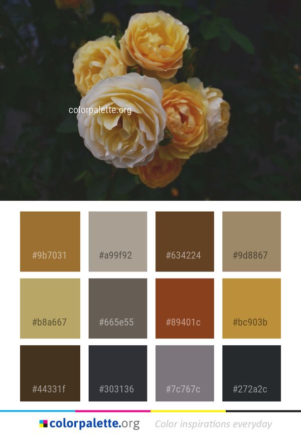 Rose Flower Family Color Palette