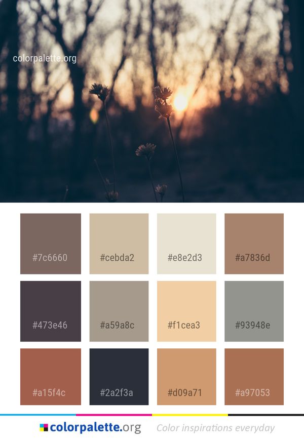 Sky Nature Branch Color Palette