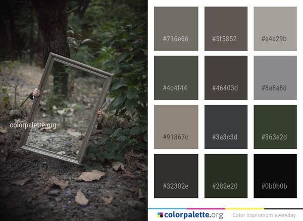 Tree Woodland Wood Color Palette