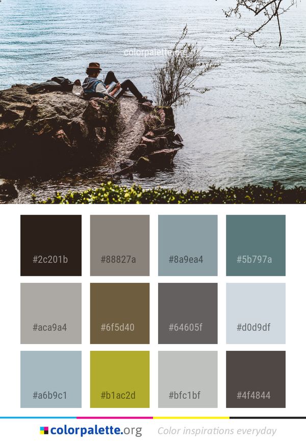 Water Body Of Tree Color Palette