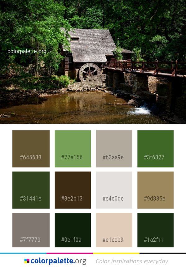Water Nature Reflection Color Palette