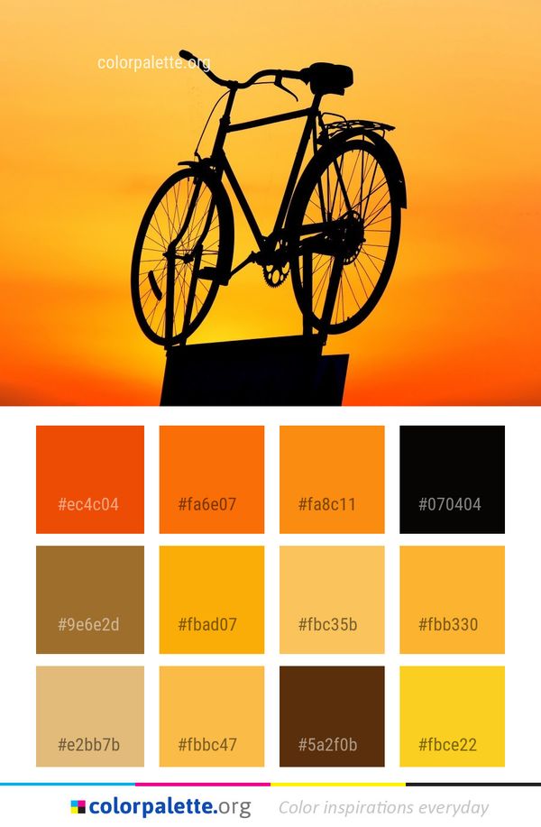 Bicycle Road Yellow Color Palette