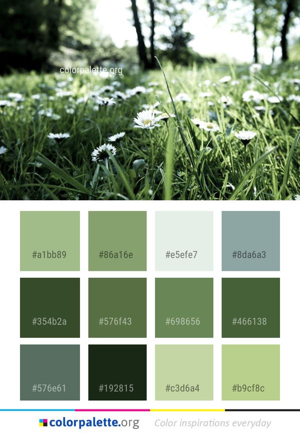 Flower Green Grass Color Palette