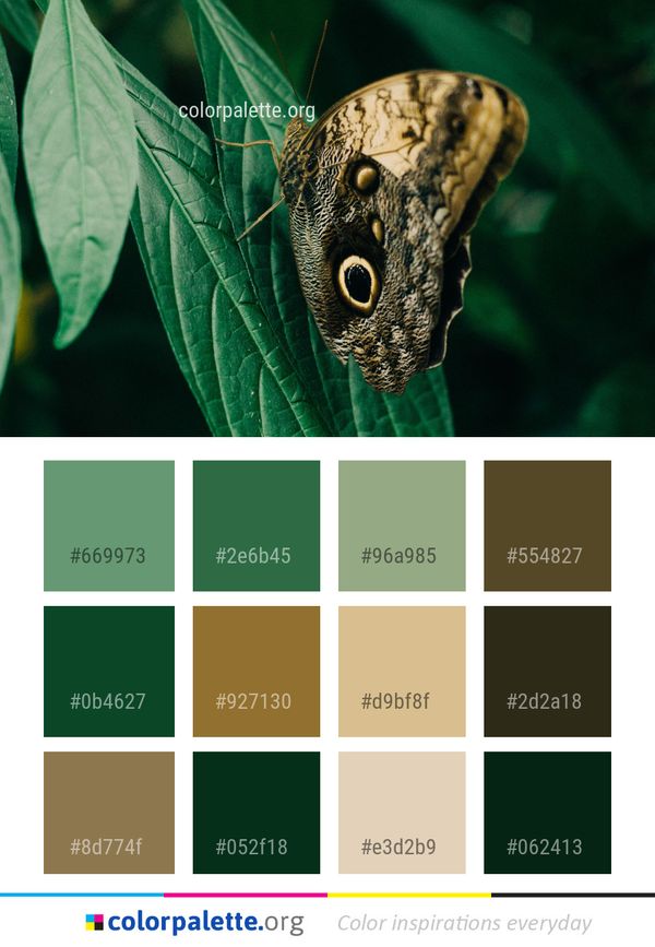 Moths And Butterflies Butterfly Insect Color Palette