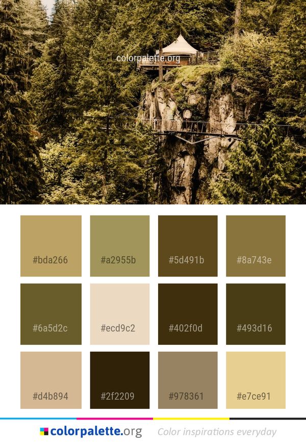Nature Tree Woody Plant Color Palette