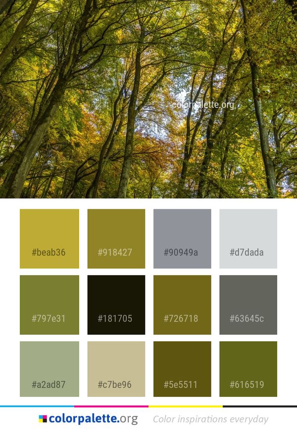 Nature Woodland Leaf Color Palette