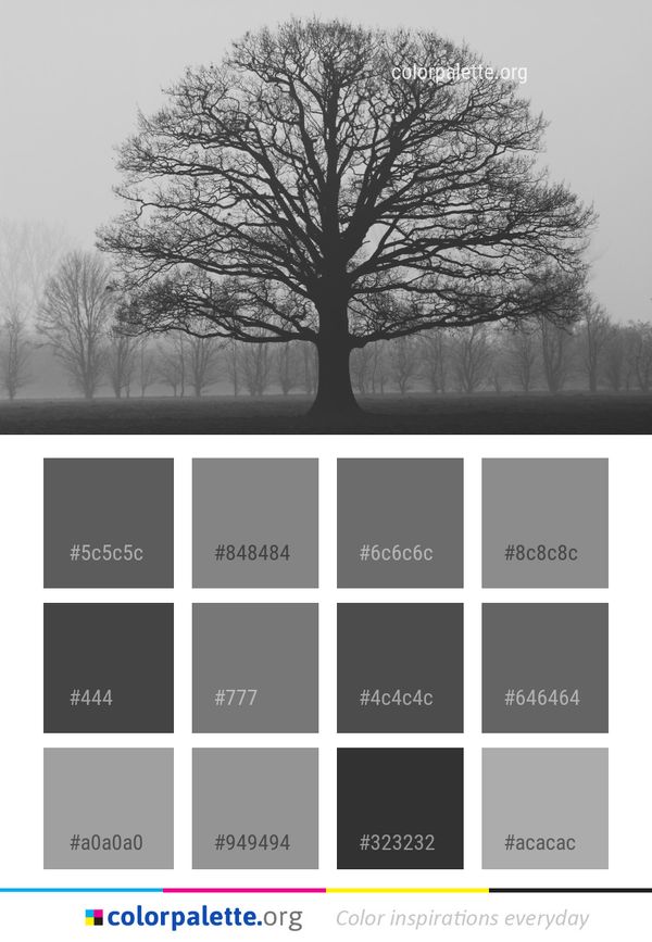 Tree Black And White Woody Plant Color Palette
