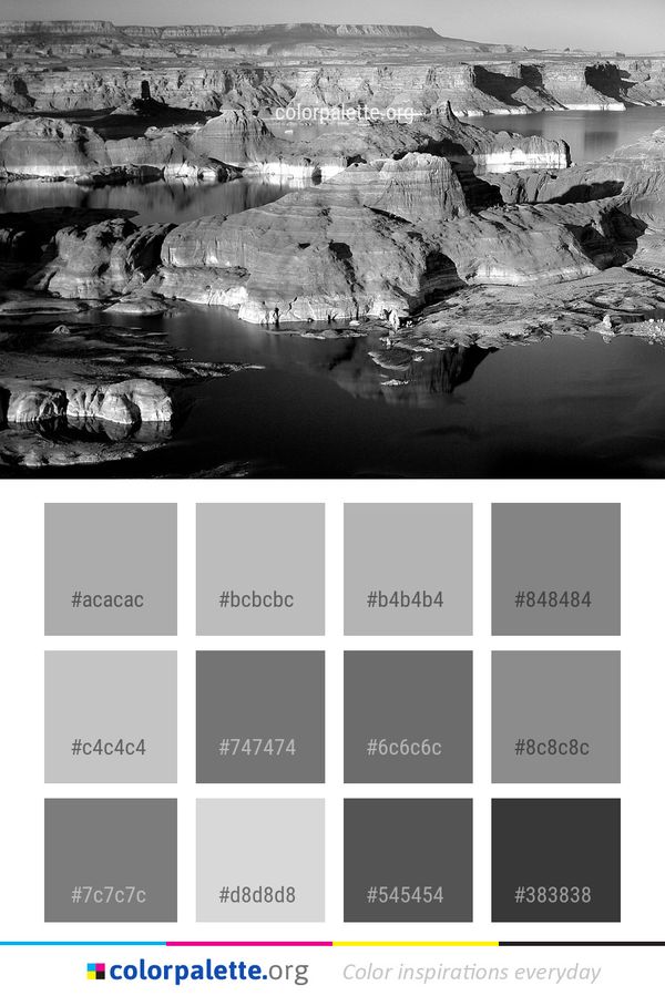 Water Reflection Black And White Color Palette