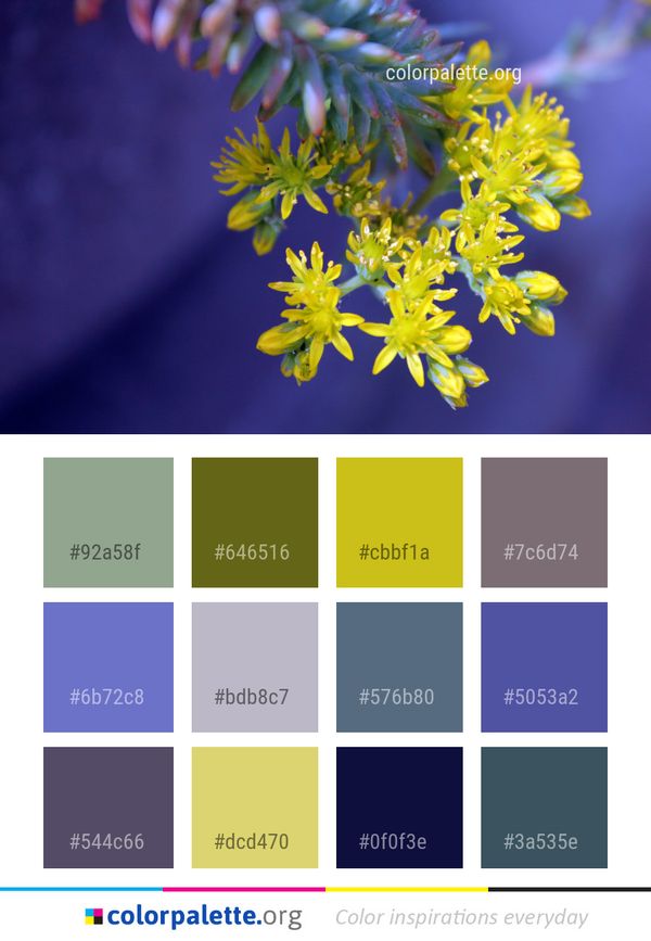 Flora Yellow Flower Color Palette