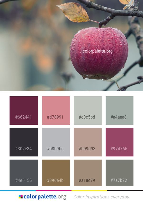 Fruit Branch Apple Color Palette
