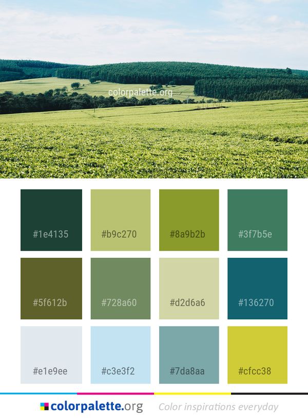 Grassland Ecosystem Field Color Palette