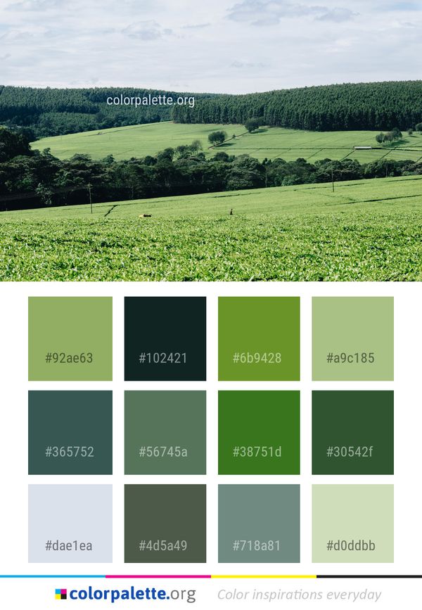 Grassland Pasture Field Color Palette