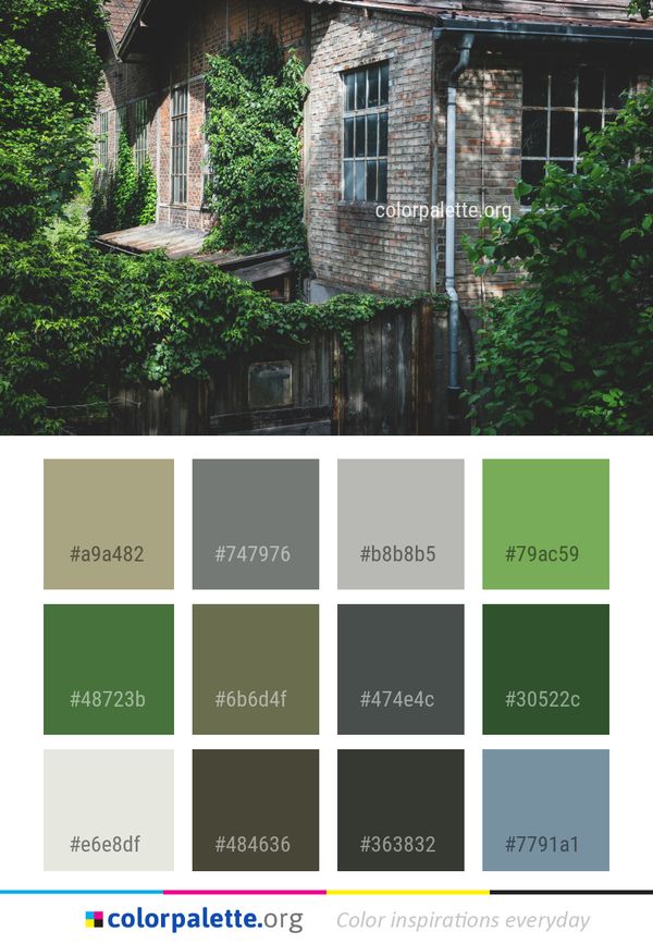 House Property Cottage Color Palette