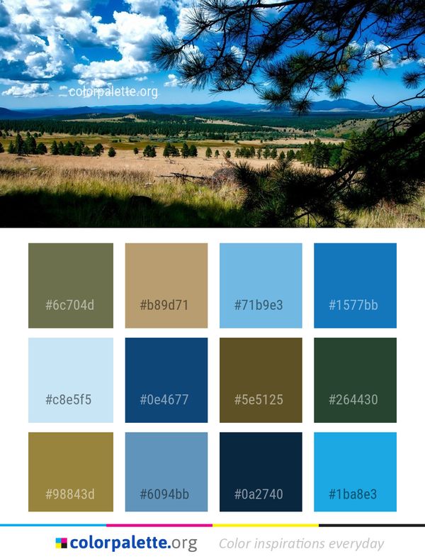 Sky Nature Ecosystem Color Palette