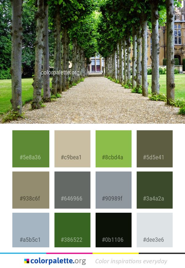 Tree Plant Leaf Color Palette