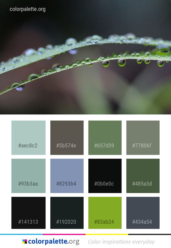 Water Dew Macro Photography Color Palette