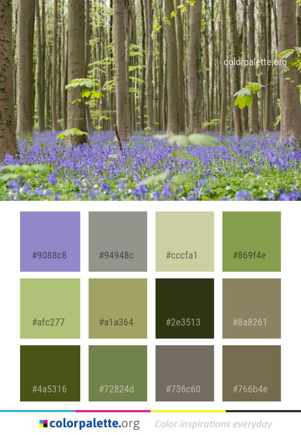 Woodland Ecosystem Flora Color Palette