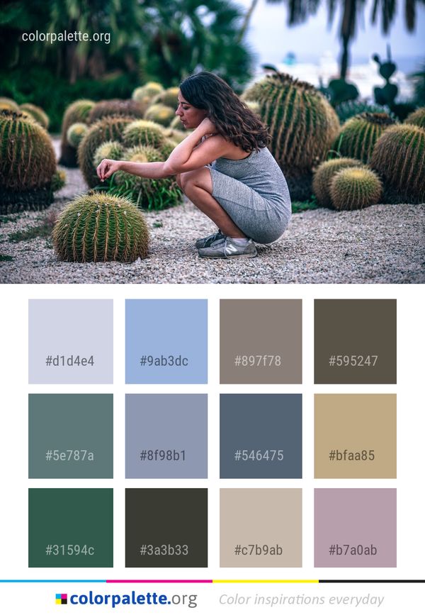 Cactus Plant Garden Color Palette