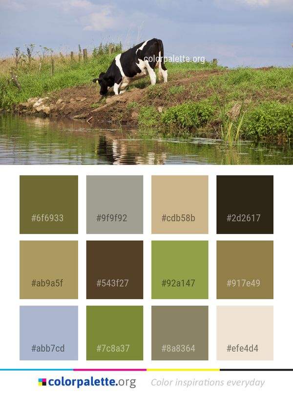 Cattle Like Mammal Pasture Grassland Color Palette