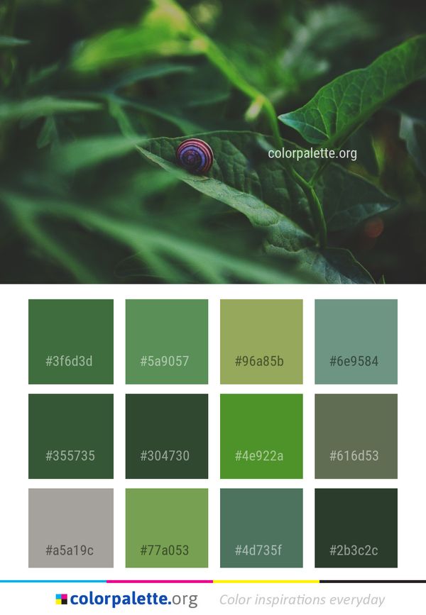 Close Up Macro Photography Leaf Color Palette