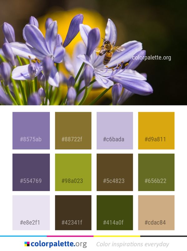 Flower Blue Flora Color Palette