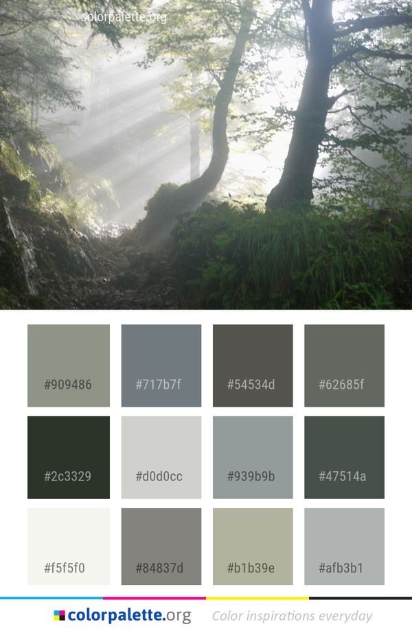 Forest Nature Reserve Vegetation Color Palette