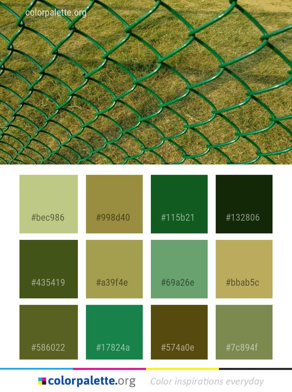 Green Net Grass Color Palette