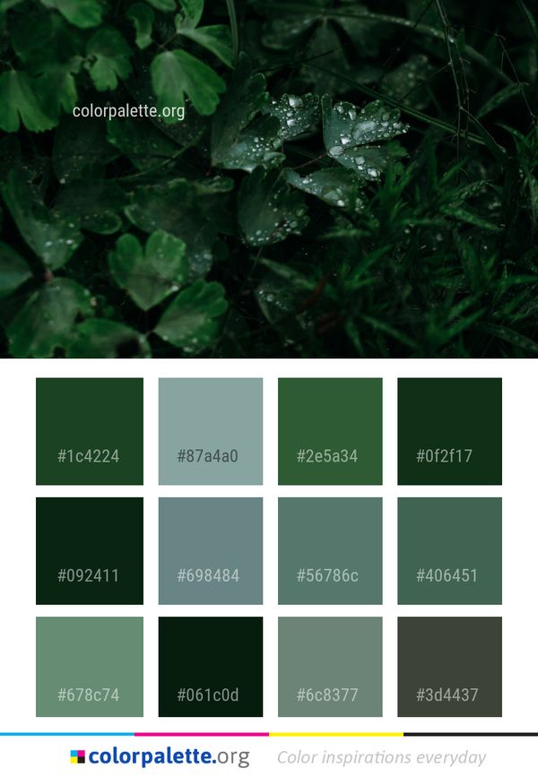 Green Water Leaf Color Palette