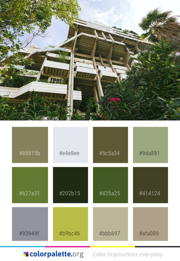 House Tree Plant Color Palette