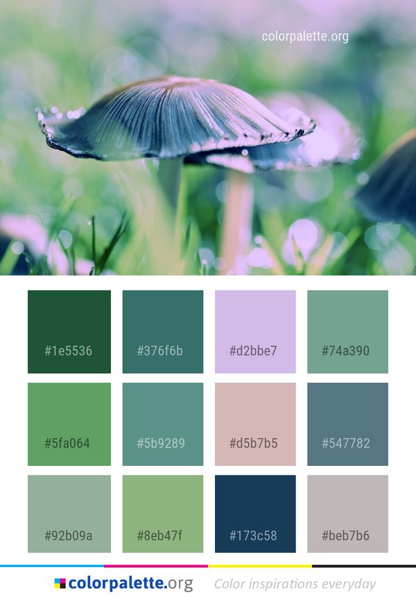 Leaf Close Up Macro Photography Color Palette