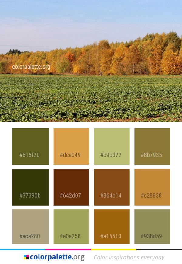 Leaf Field Tree Color Palette